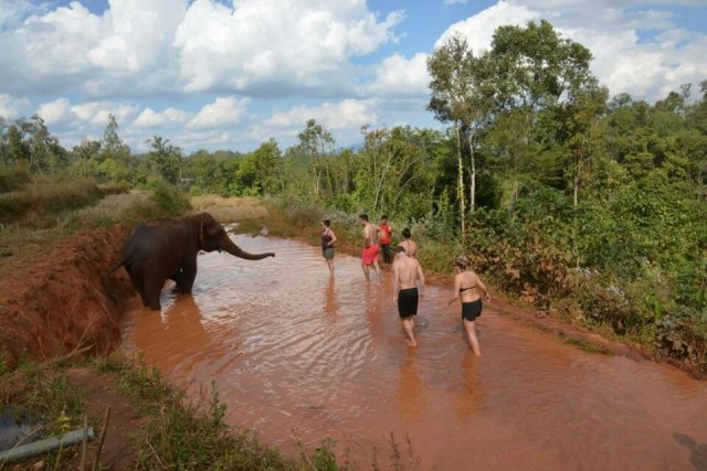Throwing mud
