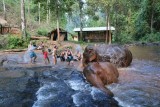 Washing time!
