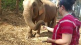 Feeding time