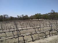IMG-20191016-WA0002