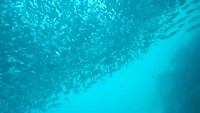DSCN1063