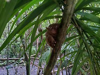 IMG_20191127_123136