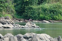 DSC01651