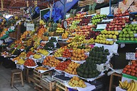 DSC07232