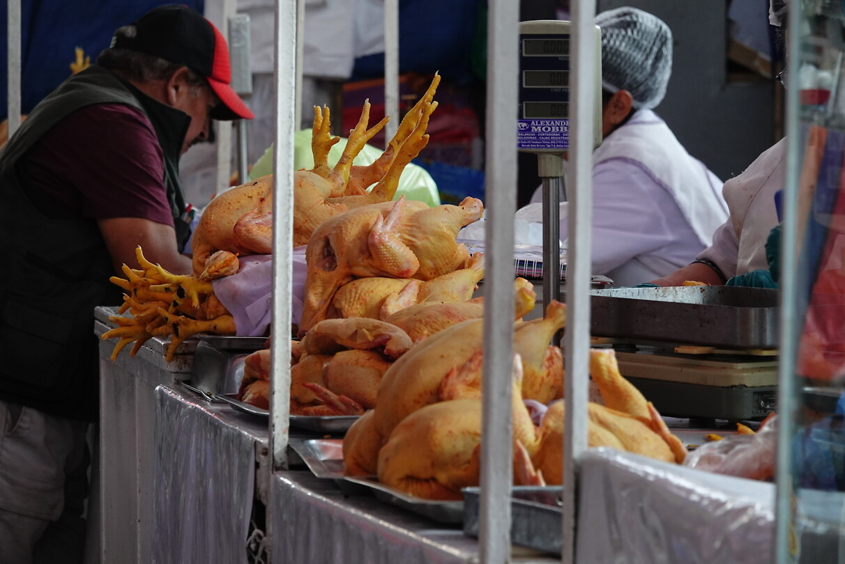 DSC07239