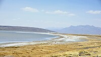 DSC07350
