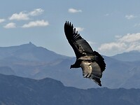 IMG-20240917-WA0107