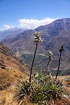 DSC08900