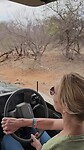 Rijden in de bush