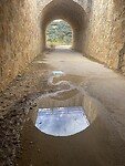 De weerspiegeling in het water