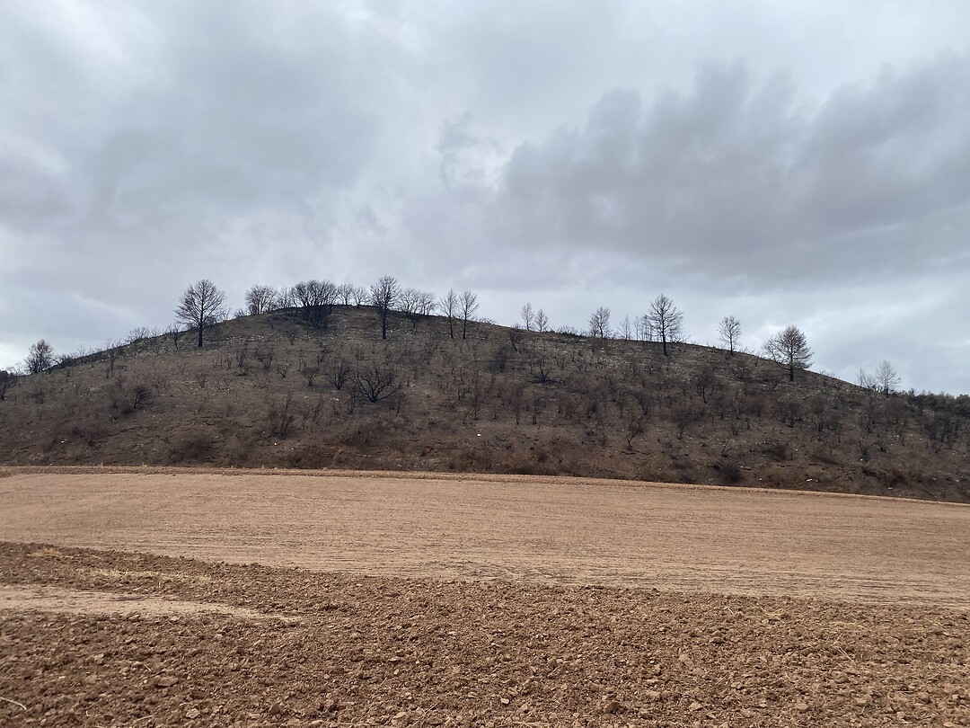 Verbrande heuvels
