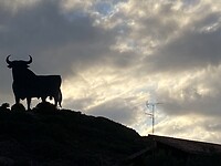 el Torro