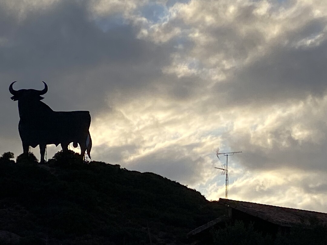el Torro