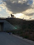 el Torro