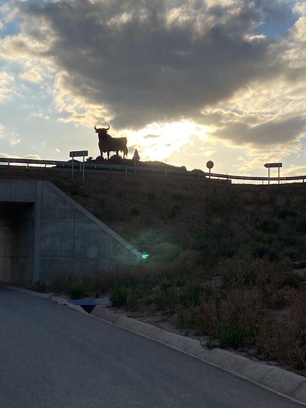 el Torro