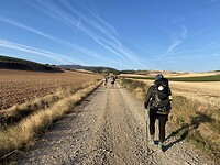 image_50399233