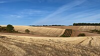 image_6483441