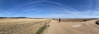 image_50372353