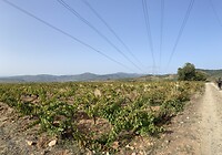 2B961142-5C0D-4D45-9568-1AE0477F1137