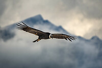 IMG_1071