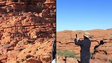 De familie Bertels Down Under in Paradise