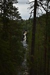 Auttiköngäs