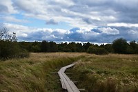 Koivusaari Nature Trail