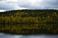 Herfst