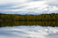 Herfstkleuren