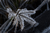 Een mooi begin van de winter in Rovaniemi
