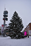 Kerstboom staat al!