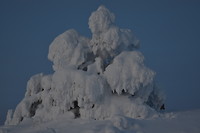 Natuurlijk sneeuw sculptuur