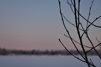 Beautiful nature βοΈ