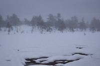Hovfjället