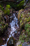 Kleine waterval