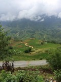 Sapa