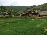 Sapa
