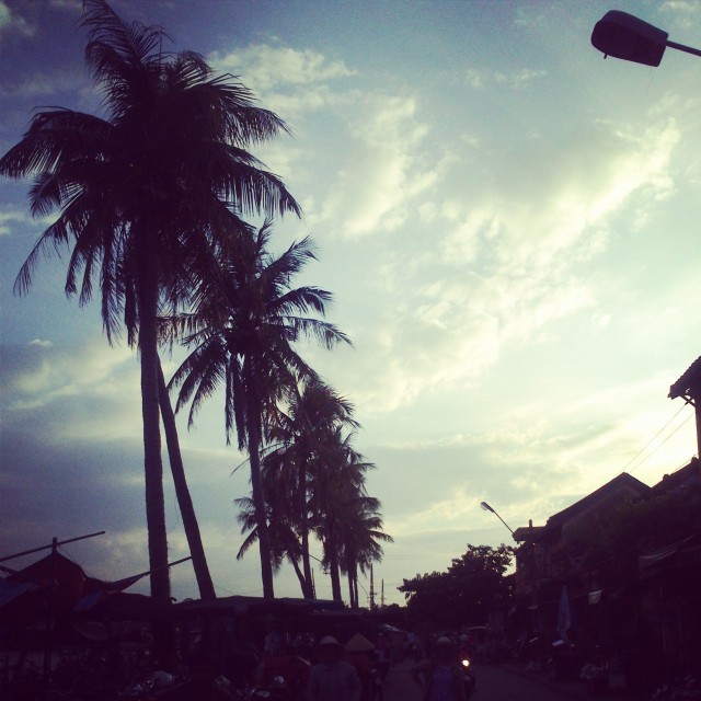 palmtrees