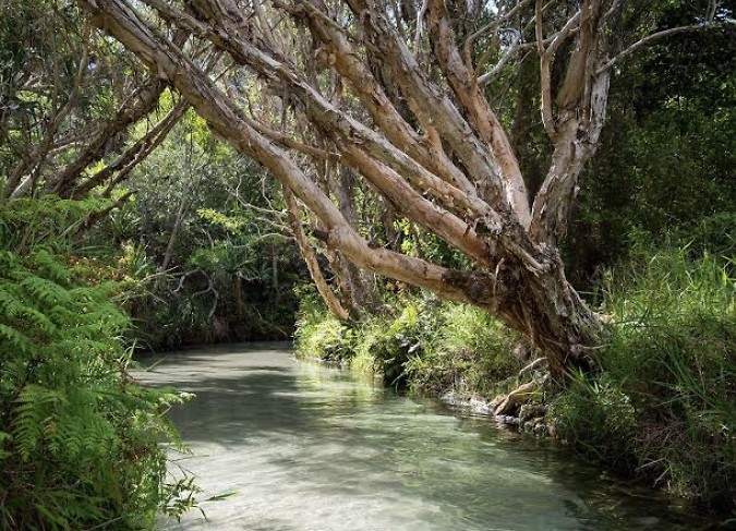 Eli creek