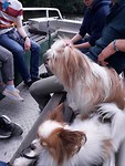 20180828_141131