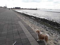 20180902_125336