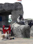 20180902_121446