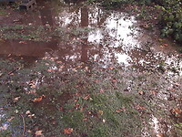 De camperplek naast ons