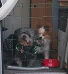 IMG-20230520-WA0001