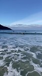 surfen