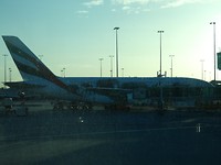P1000204