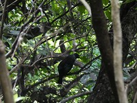 P1000433