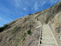 P1000443