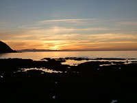 P1000491