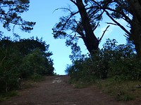 P1000472